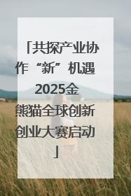 共探产业协作“新”机遇 2025金熊猫全球创新创业大赛启动