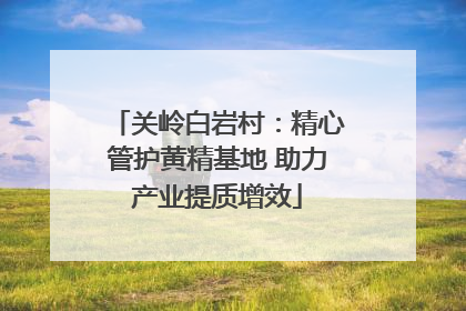 关岭白岩村：精心管护黄精基地 助力产业提质增效