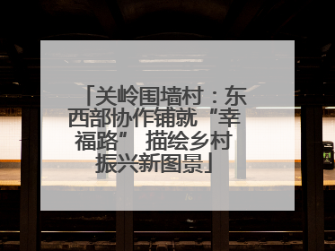 关岭围墙村：东西部协作铺就“幸福路” 描绘乡村振兴新图景