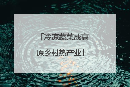 冷凉蔬菜成高原乡村热产业