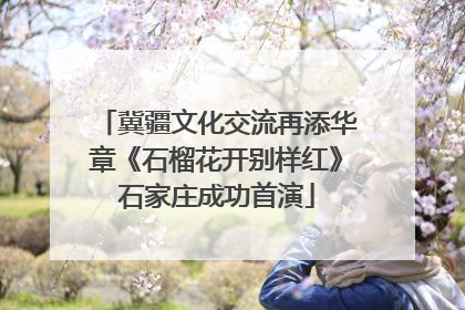 冀疆文化交流再添华章《石榴花开别样红》石家庄成功首演