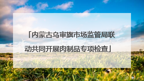 内蒙古乌审旗市场监管局联动共同开展肉制品专项检查