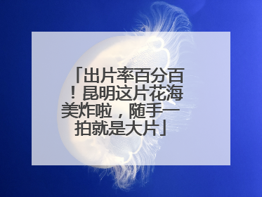 出片率百分百！昆明这片花海美炸啦，随手一拍就是大片
