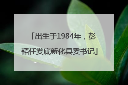 出生于1984年，彭韬任娄底新化县委书记