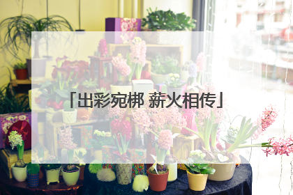 出彩宛梆 薪火相传
