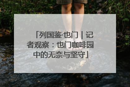 列国鉴·也门｜记者观察：也门咖啡园中的无奈与坚守