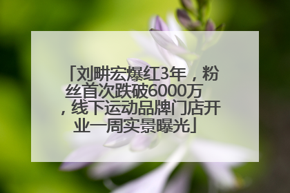 刘畊宏爆红3年，粉丝首次跌破6000万，线下运动品牌门店开业一周实景曝光
