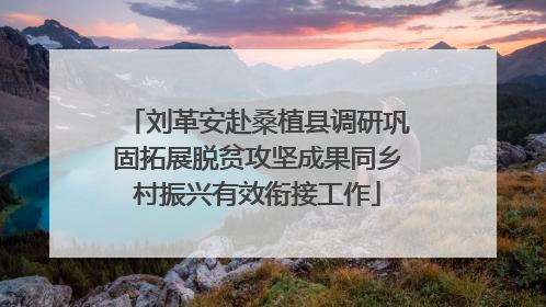 刘革安赴桑植县调研巩固拓展脱贫攻坚成果同乡村振兴有效衔接工作