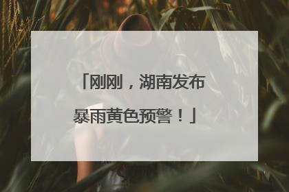 刚刚，湖南发布暴雨黄色预警！