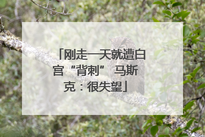 刚走一天就遭白宫“背刺” 马斯克：很失望