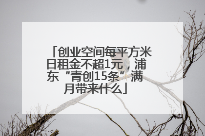 创业空间每平方米日租金不超1元，浦东“青创15条”满月带来什么