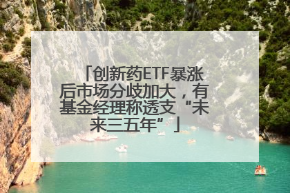 创新药ETF暴涨后市场分歧加大，有基金经理称透支“未来三五年”
