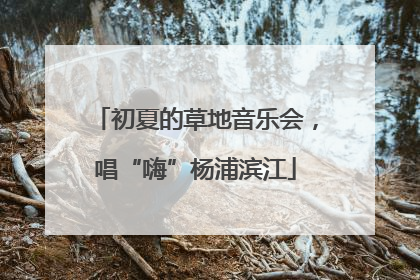 初夏的草地音乐会，唱“嗨”杨浦滨江