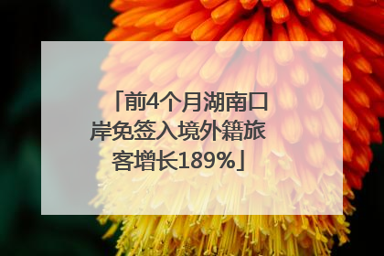 前4个月湖南口岸免签入境外籍旅客增长189%
