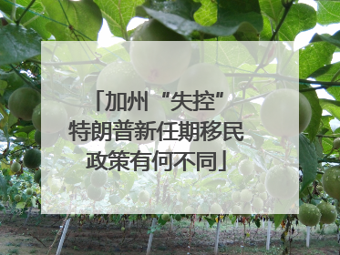 加州“失控” 特朗普新任期移民政策有何不同