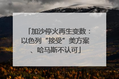 加沙停火再生变数：以色列“接受”美方案、哈马斯不认可