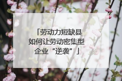劳动力短缺县 如何让劳动密集型企业“逆袭”