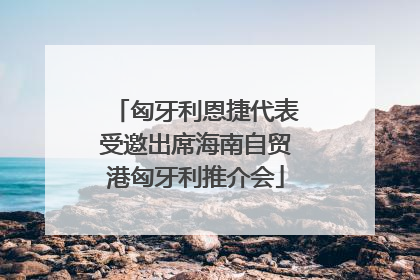 匈牙利恩捷代表受邀出席海南自贸港匈牙利推介会