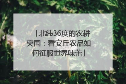 北纬36度的农耕突围：看安丘农品如何征服世界味蕾