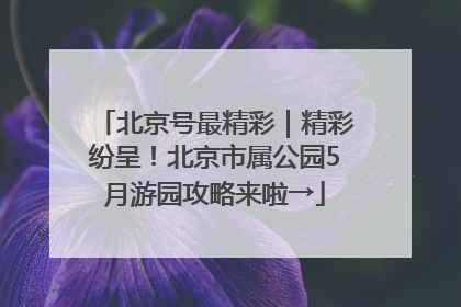 北京号最精彩｜精彩纷呈！北京市属公园5月游园攻略来啦→