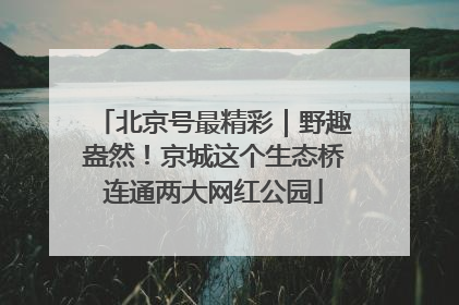 北京号最精彩｜野趣盎然！京城这个生态桥连通两大网红公园