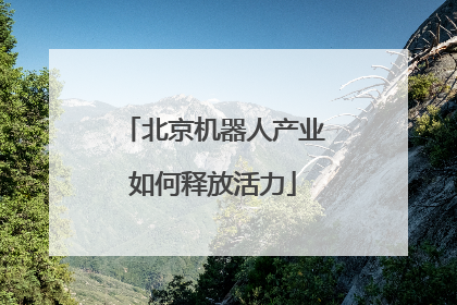 北京机器人产业如何释放活力