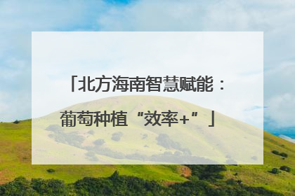 北方海南智慧赋能：葡萄种植“效率+”