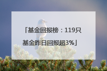 基金回报榜：119只基金昨日回报超3%