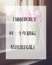 埇桥区夏王村：十年耕耘结出富民瓜