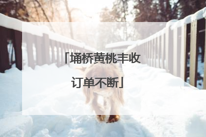 埇桥黄桃丰收 订单不断