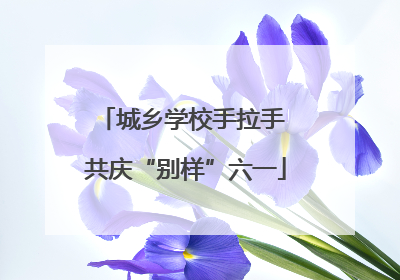 城乡学校手拉手 共庆“别样”六一