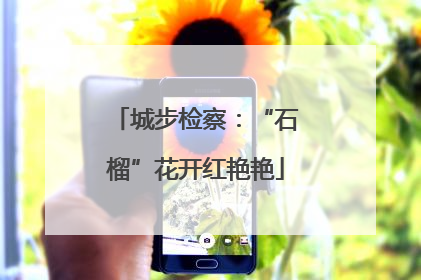 城步检察：“石榴”花开红艳艳