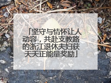 坚守与情怀让人动容，共赴支教路的浙江退休夫妇获天天正能量奖励