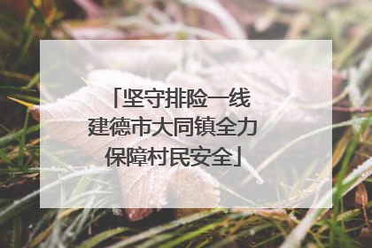 坚守排险一线 建德市大同镇全力保障村民安全