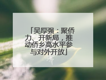 吴厚强：聚侨力、开新局，推动侨乡高水平参与对外开放