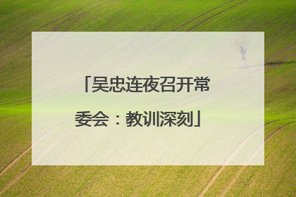 吴忠连夜召开常委会：教训深刻