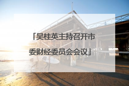 吴桂英主持召开市委财经委员会会议