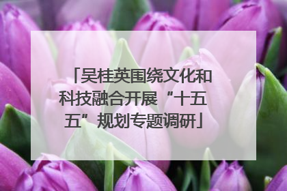 吴桂英围绕文化和科技融合开展“十五五”规划专题调研