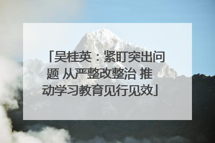 吴桂英：紧盯突出问题 从严整改整治 推动学习教育见行见效