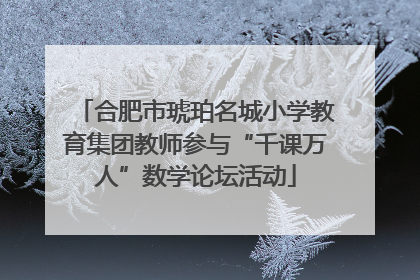 合肥市琥珀名城小学教育集团教师参与“千课万人”数学论坛活动