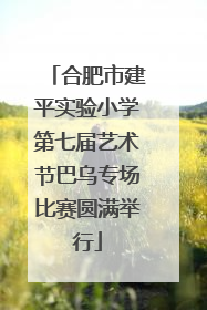合肥市建平实验小学第七届艺术节巴乌专场比赛圆满举行