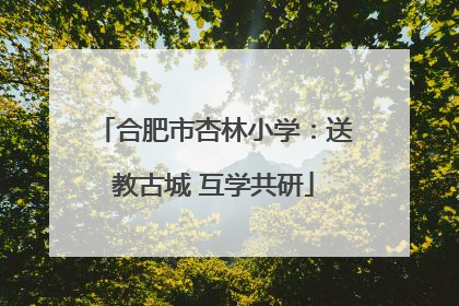 合肥市杏林小学：送教古城 互学共研