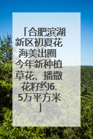 合肥滨湖新区初夏花海美出圈 今年新种植草花、播撒花籽约6.5万平方米