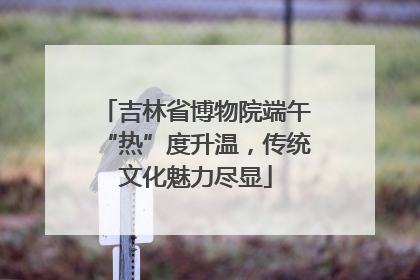 吉林省博物院端午“热”度升温，传统文化魅力尽显