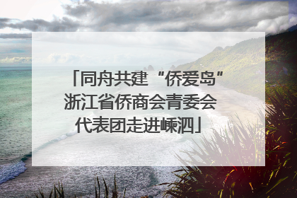 同舟共建“侨爱岛” 浙江省侨商会青委会代表团走进嵊泗