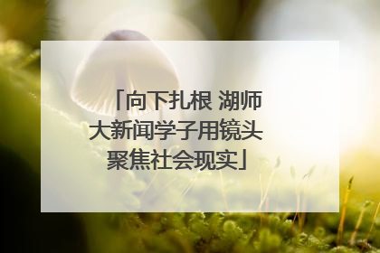 向下扎根 湖师大新闻学子用镜头聚焦社会现实