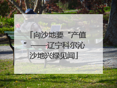 向沙地要“产值”——辽宁科尔沁沙地兴绿见闻