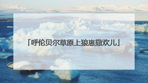 呼伦贝尔草原上狼崽撒欢儿
