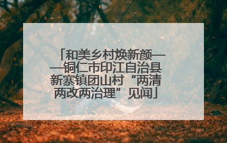 和美乡村焕新颜——铜仁市印江自治县新寨镇团山村“两清两改两治理”见闻
