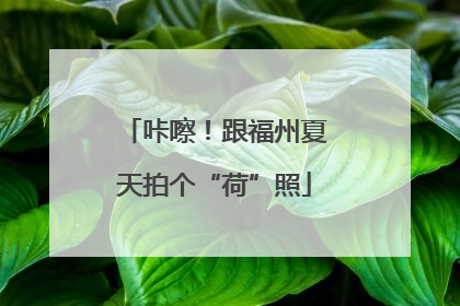咔嚓！跟福州夏天拍个“荷”照